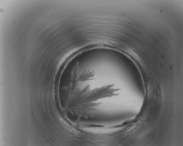 X0000062921020200601201956