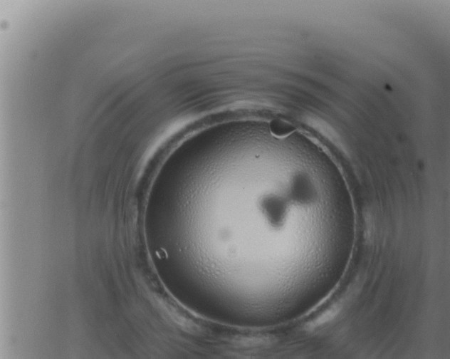 X0000062921021200601201956