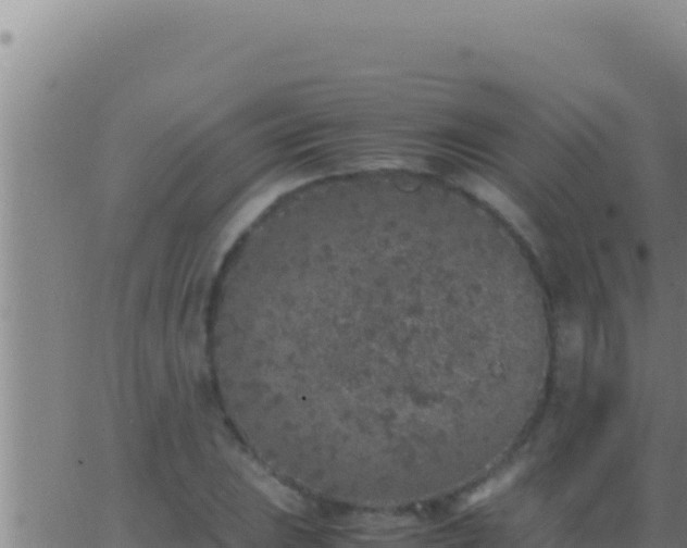 X0000062921023200601201956