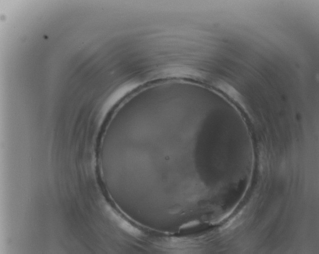 X0000062921024200601201956