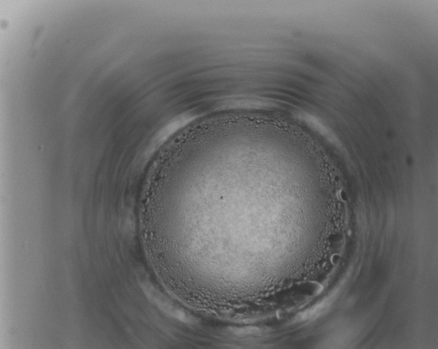 X0000062921025200601201956