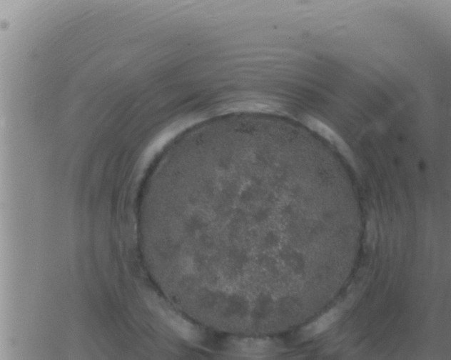 X0000062921027200601201956