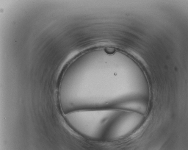 X0000062921029200601201956