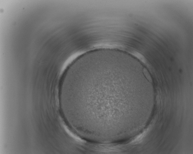 X0000062921030200601201956