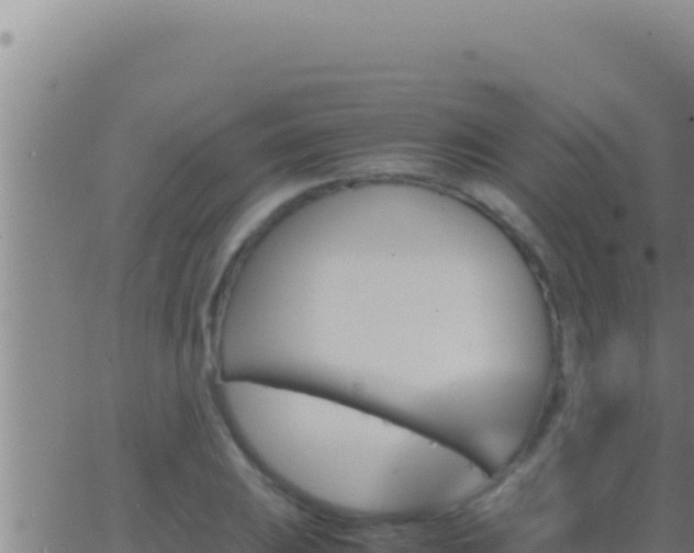 X0000062921031200601201956