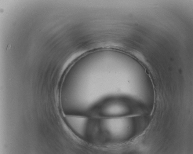 X0000062921032200601201956