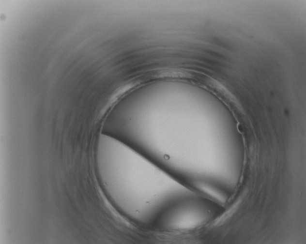 X0000062921033200601201956