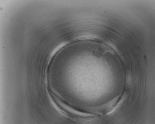 X0000062921034200601201956