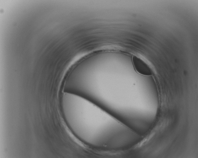 X0000062921037200601201956