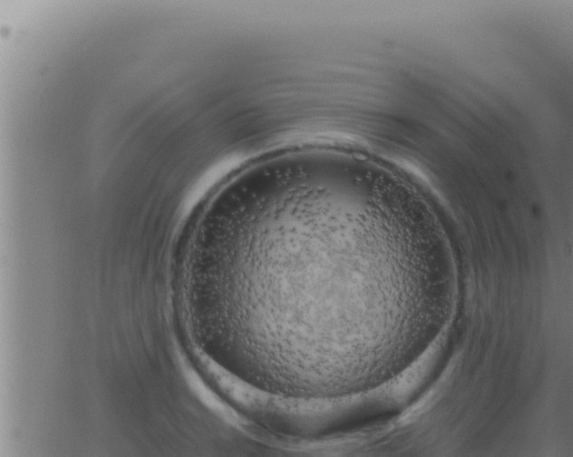 X0000062921038200601201956