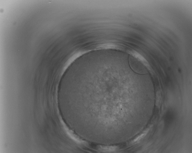 X0000062921039200601201956