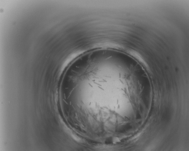 X0000062921040200601201956