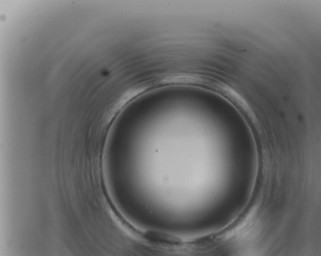 X0000062921041200601201956