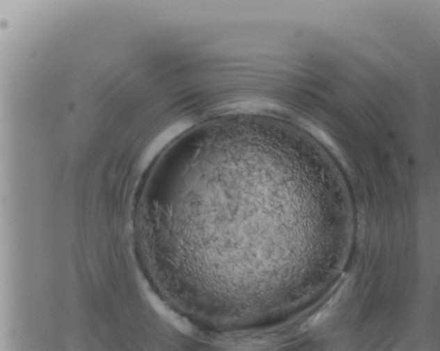 X0000062921042200601201956