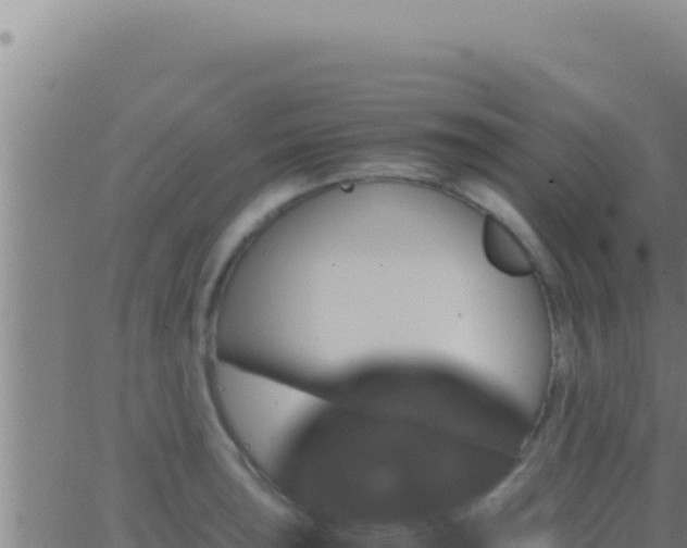 X0000062921043200601201956