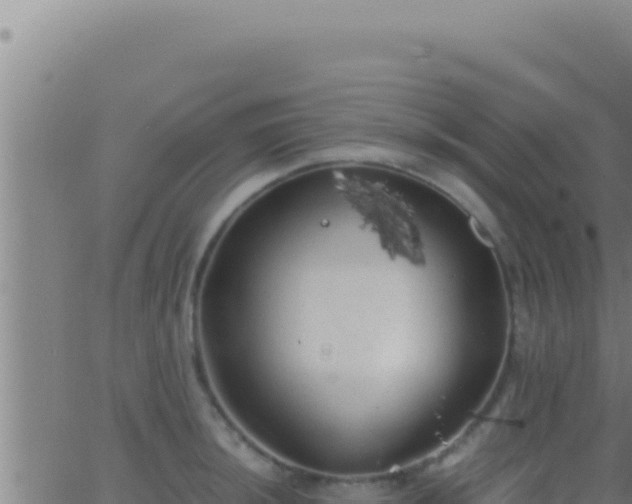 X0000062921044200601201956