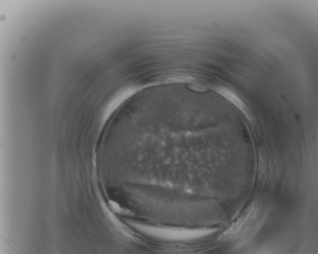 X0000062921047200601201957