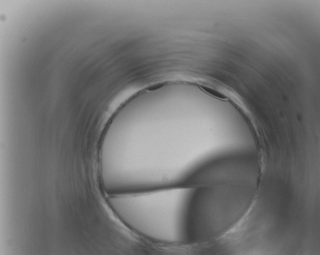 X0000062921048200601201957