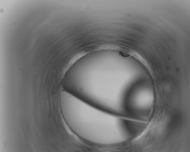 X0000062921049200601201957