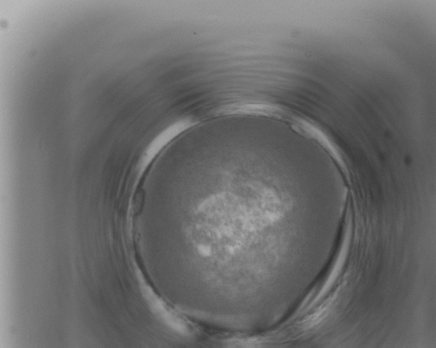 X0000062921050200601201957