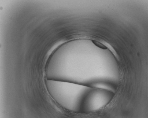 X0000062921051200601201957