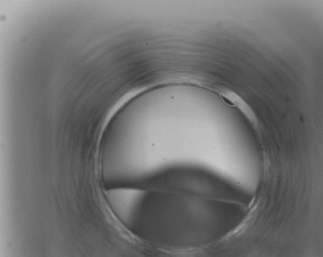 X0000062921052200601201957