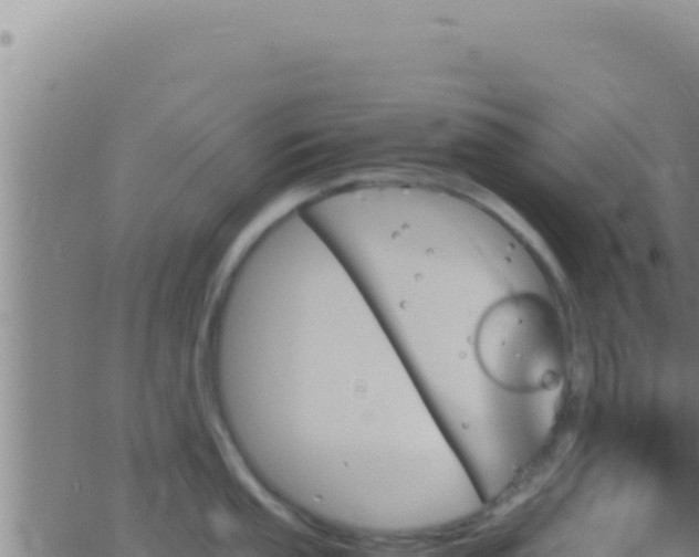 X0000062921053200601201957