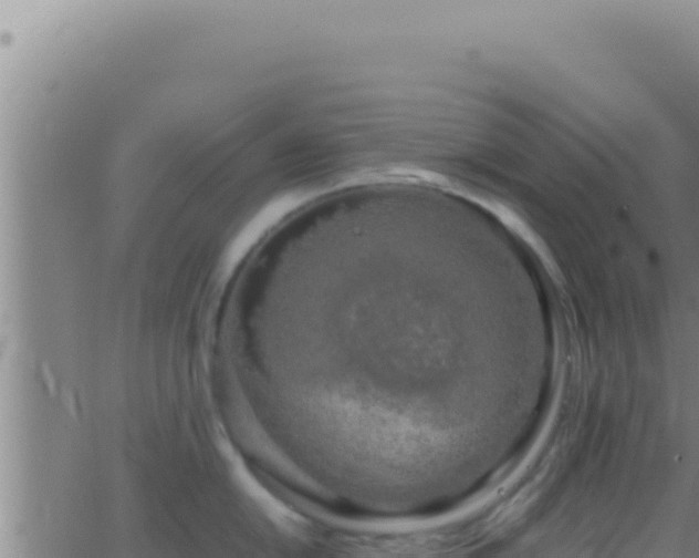 X0000062921054200601201957