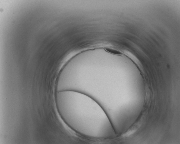 X0000062921055200601201957