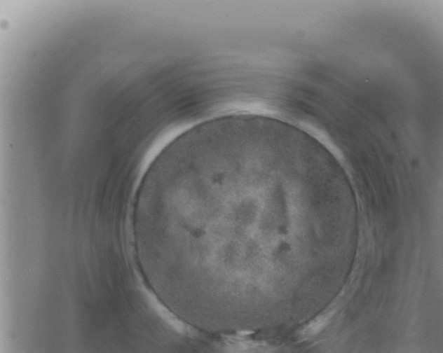 X0000062921056200601201957