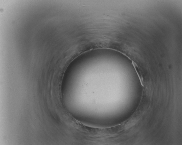 X0000062921057200601201956