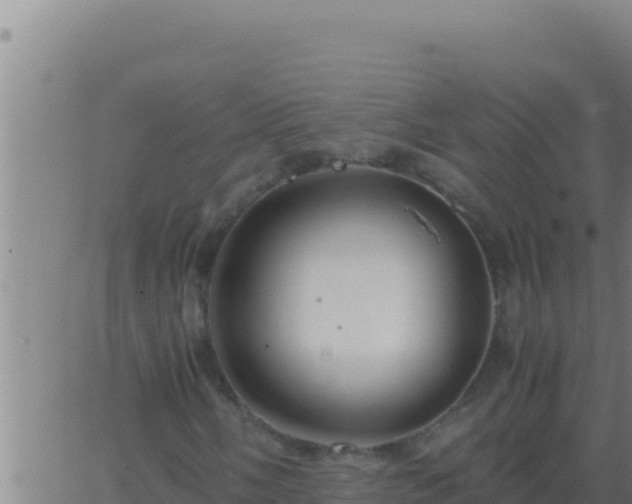 X0000062921058200601201956