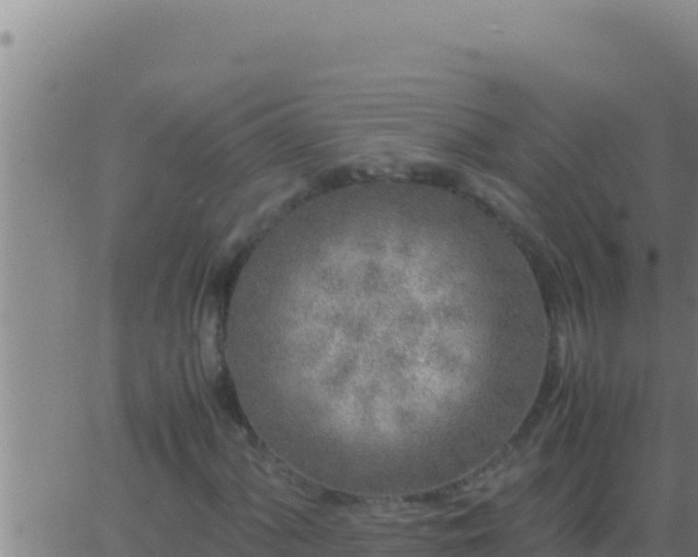 X0000062921060200601201956