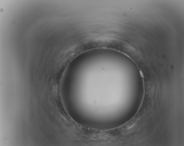 X0000062921061200601201956