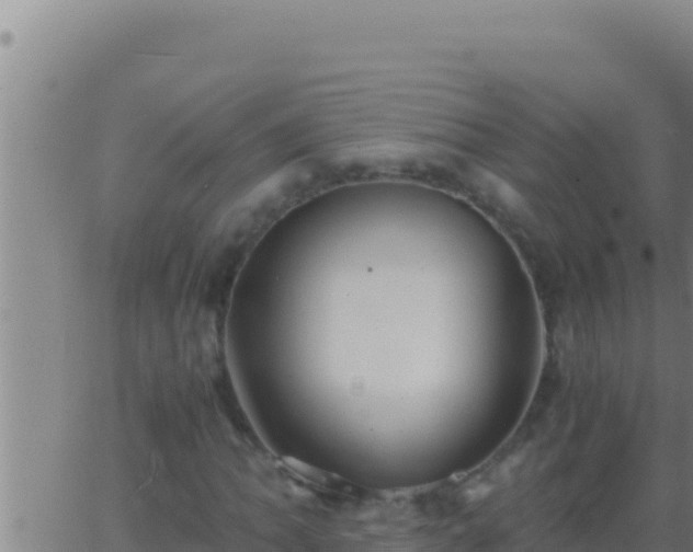 X0000062921062200601201956