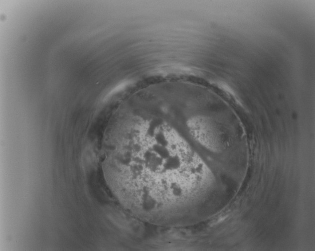 X0000062921063200601201956