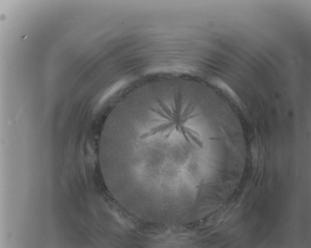 X0000062921064200601201956