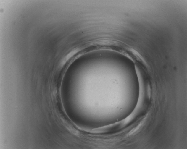 X0000062921065200601201956