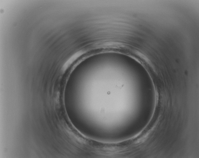 X0000062921066200601201956