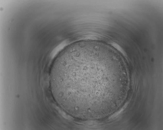 X0000062921067200601201956