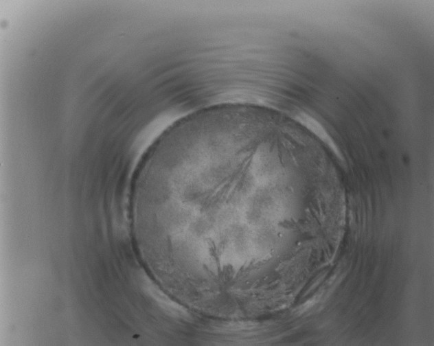 X0000062921068200601201956