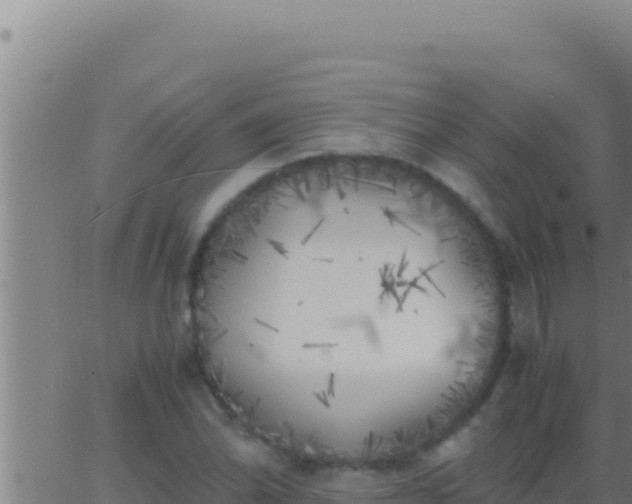 X0000062921070200601201956