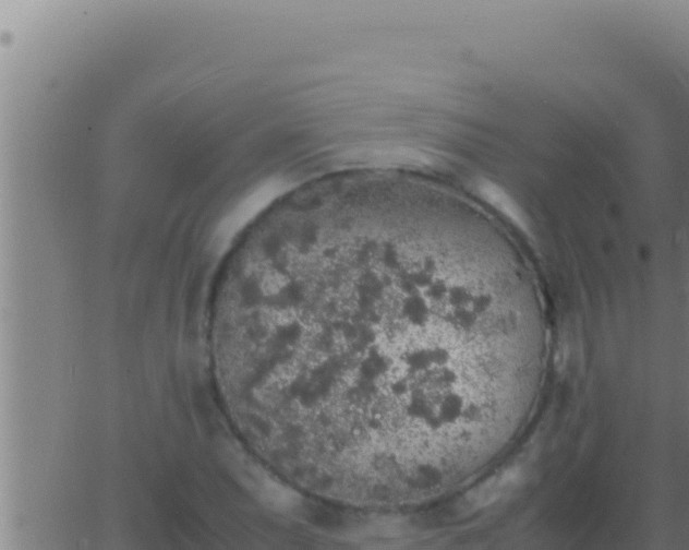 X0000062921071200601201956