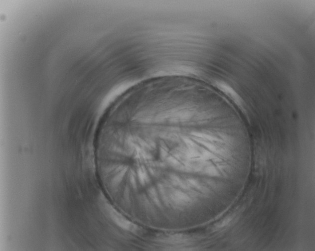 X0000062921072200601201956