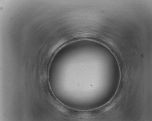 X0000062921073200601201956