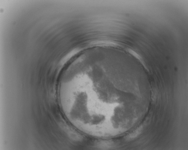 X0000062921074200601201956