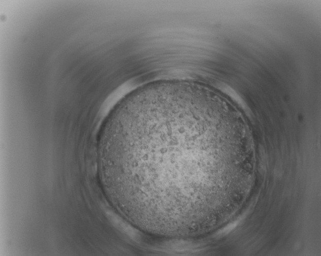 X0000062921075200601201956