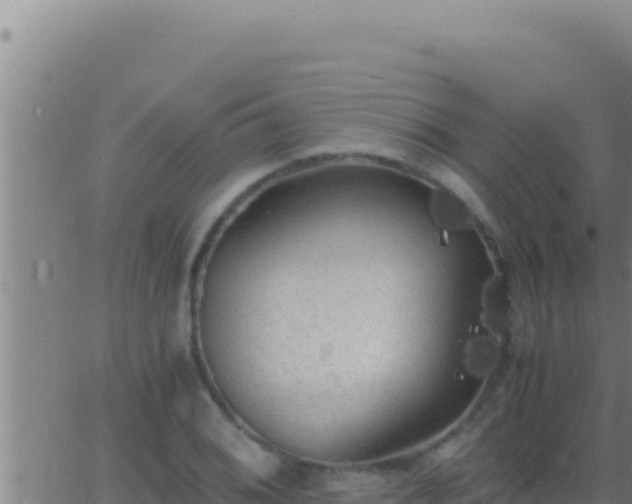 X0000062921076200601201956