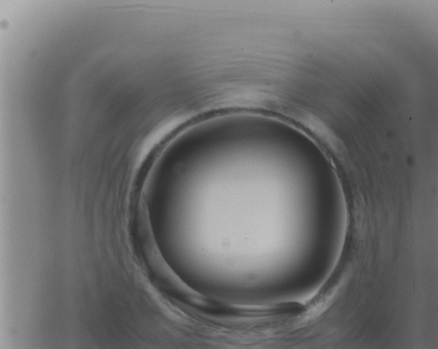 X0000062921077200601201956