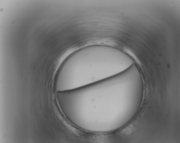 X0000062921079200601201956